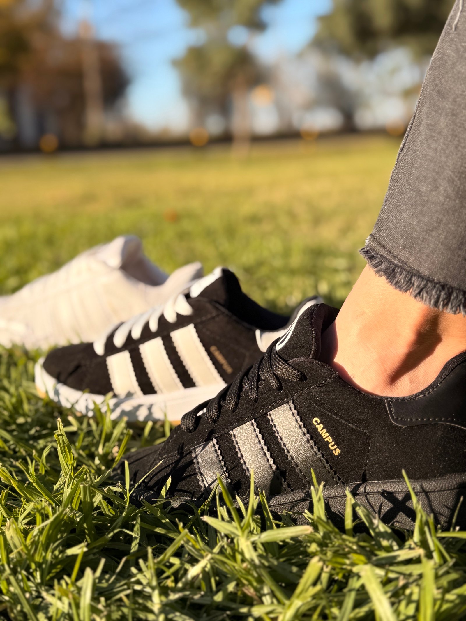 ADIDAS CAMPUS NN